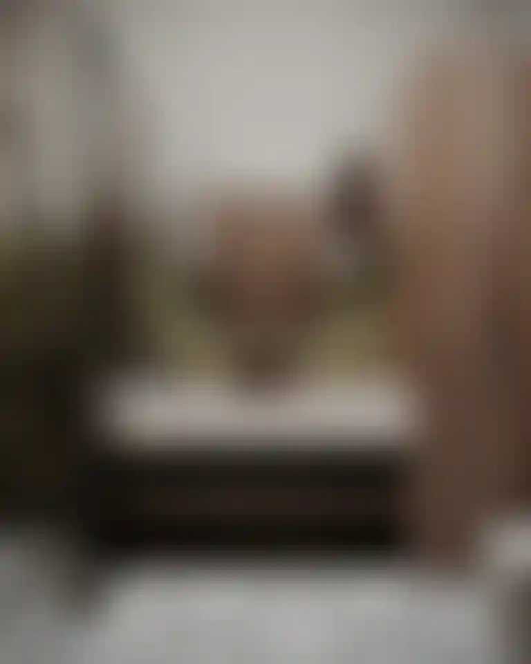 image for main block