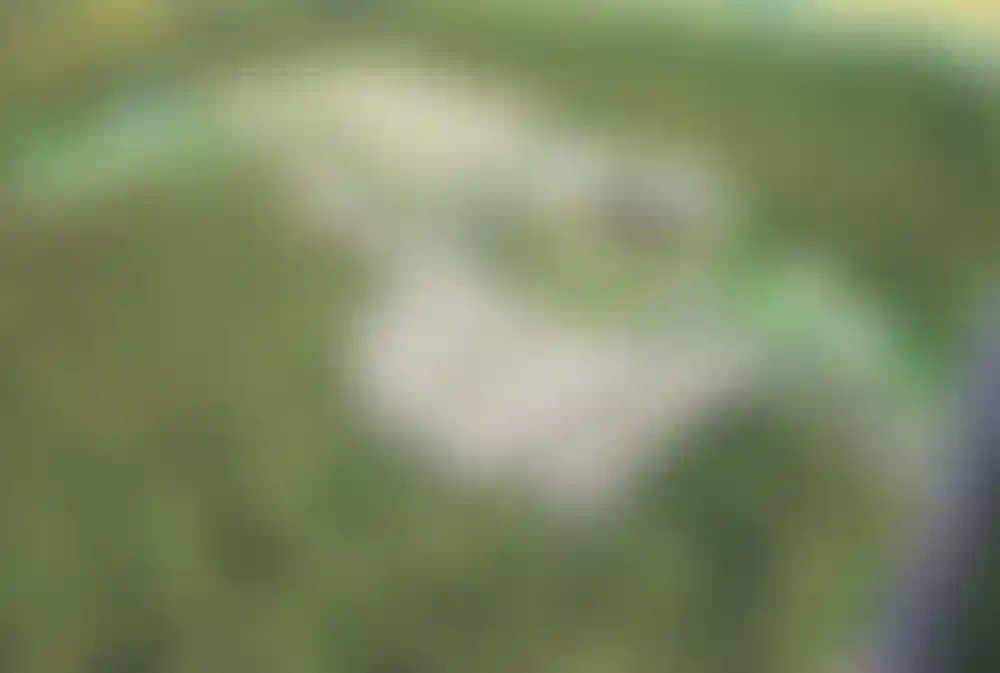 image for main block