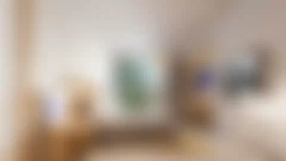 image for main block