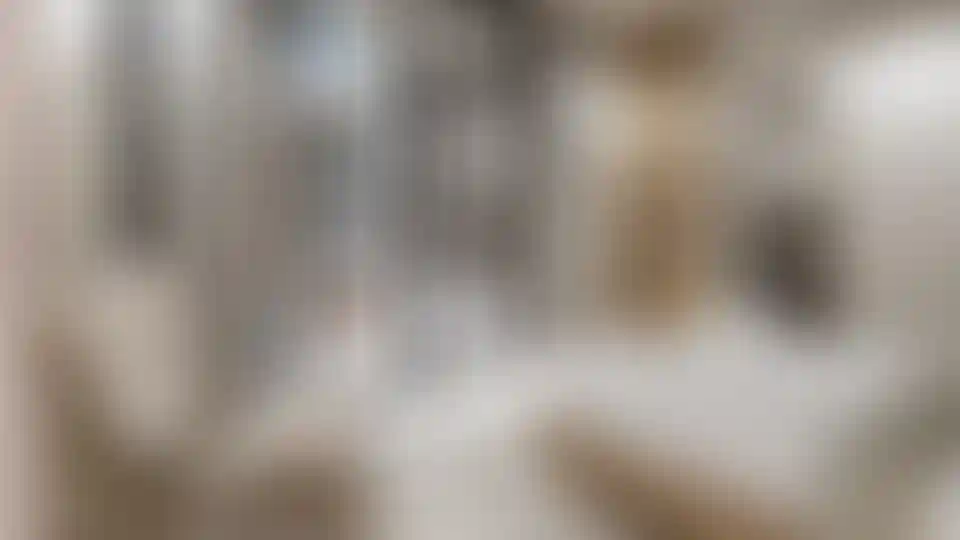 image for main block