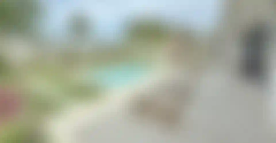 image for main block