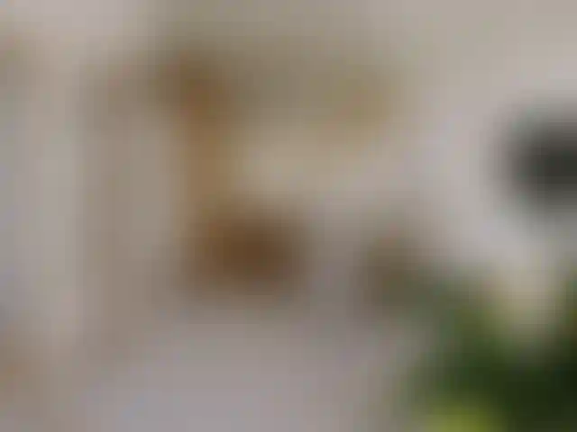 image for main block