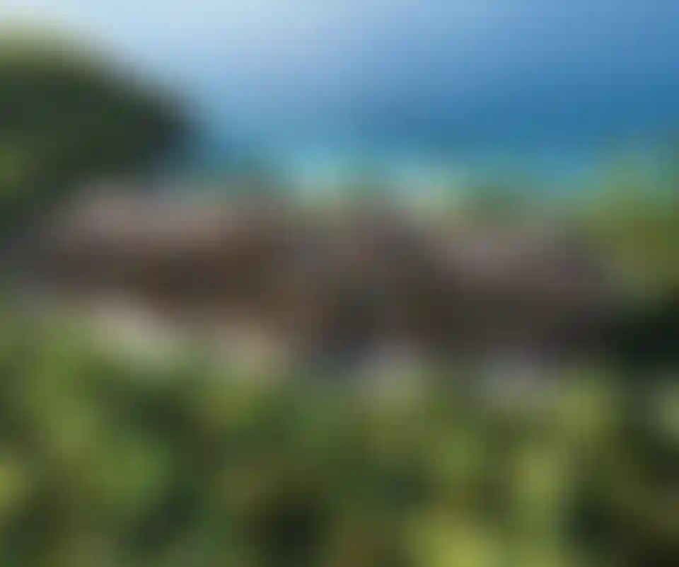 image for main block