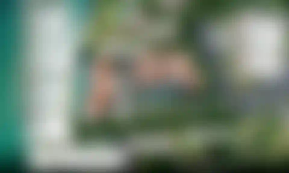 image for main block