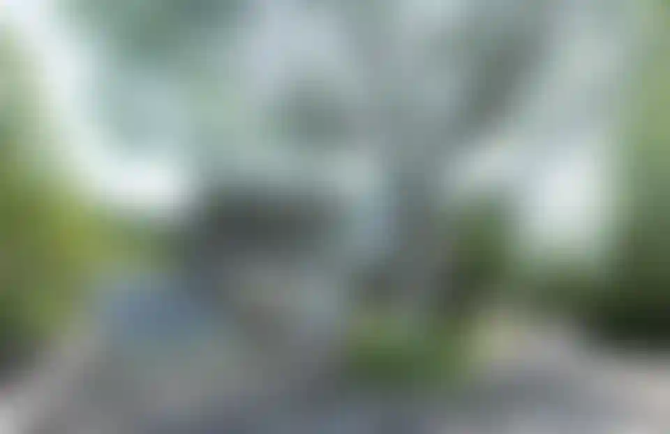 image for main block