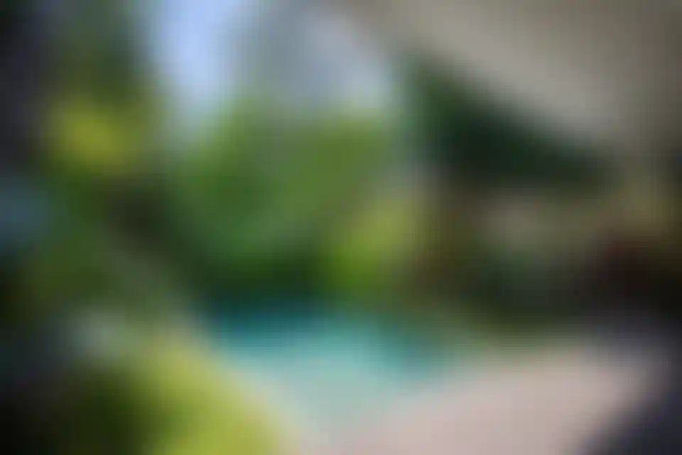 image for main block