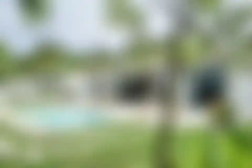 image for main block