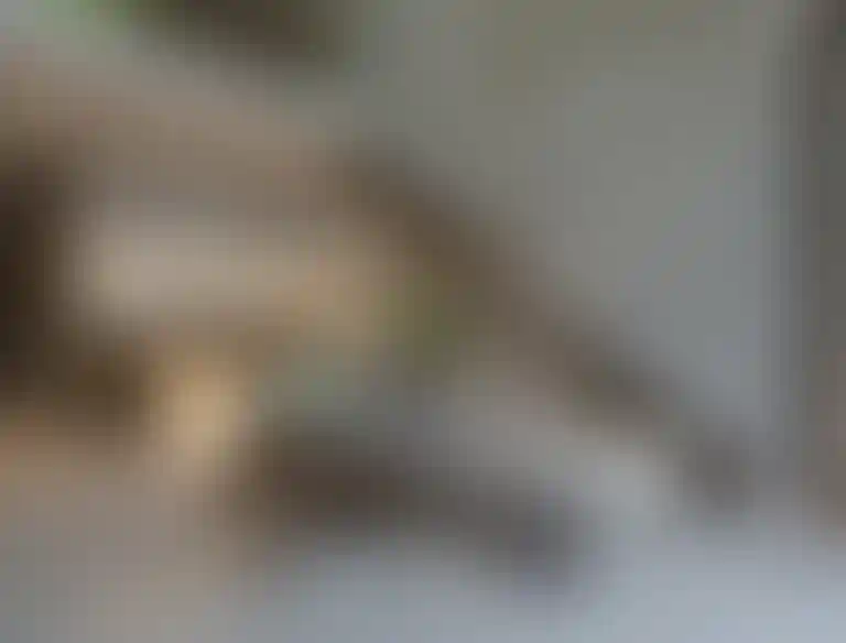 image for main block