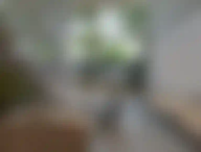 image for main block