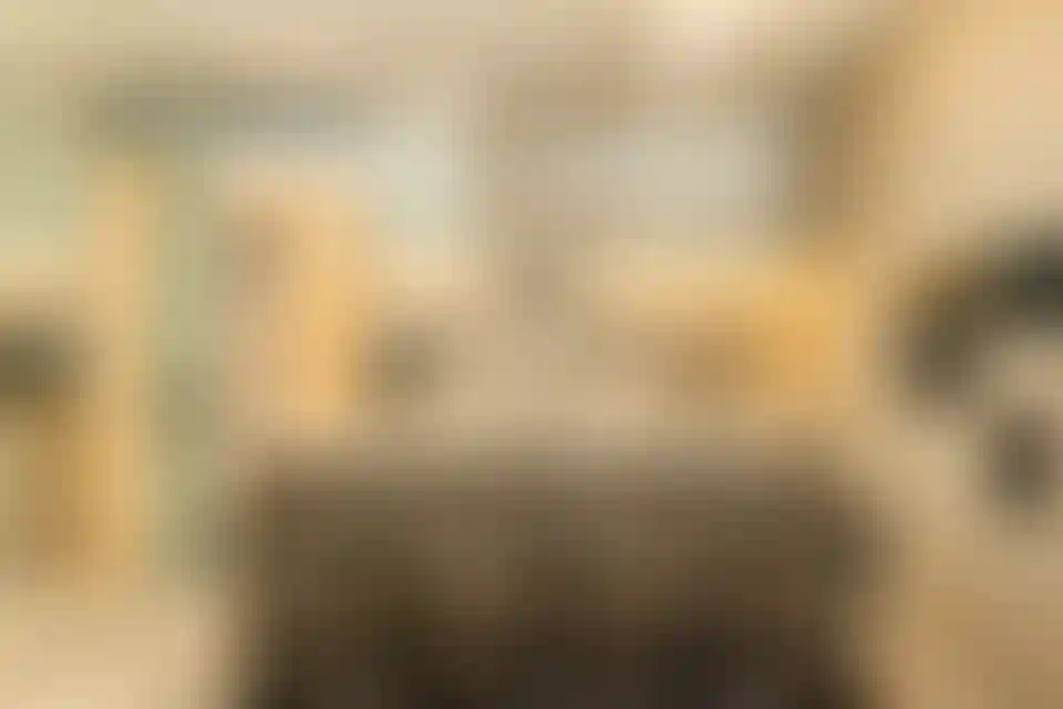 image for main block