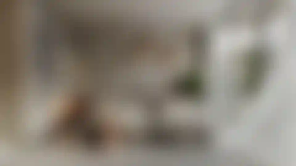 image for main block