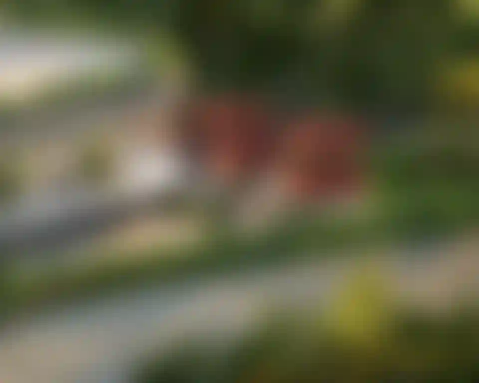 image for main block