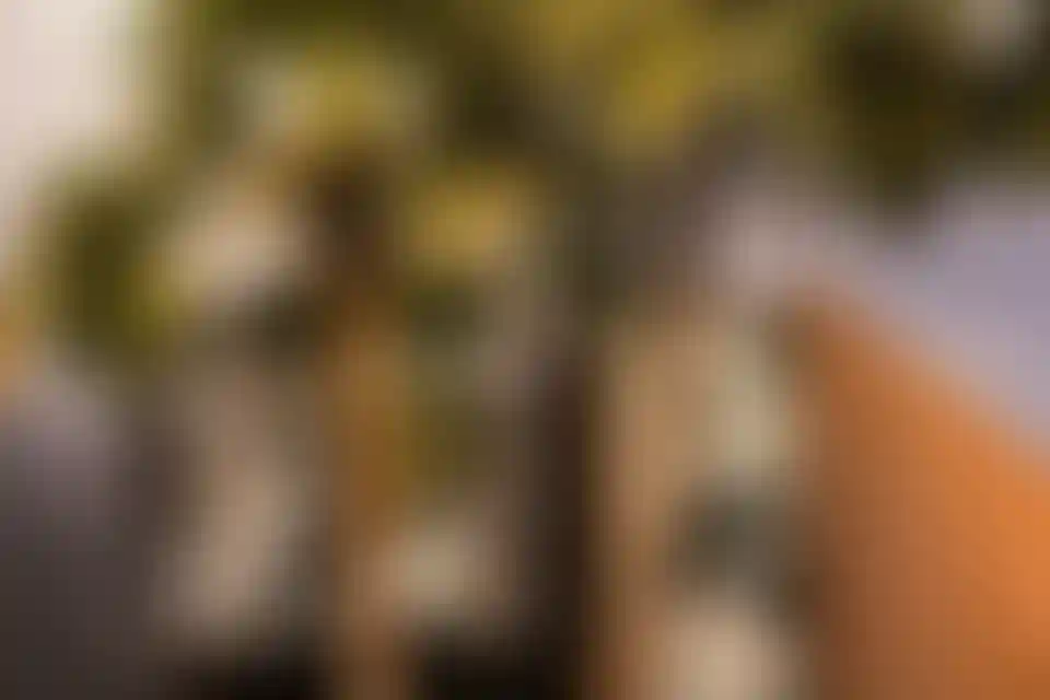 image for main block