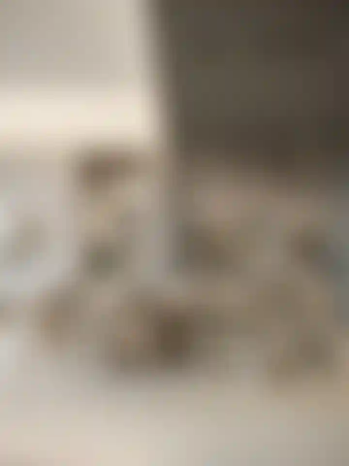 image for main block