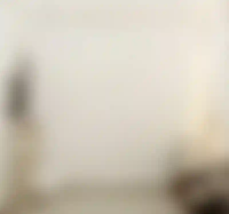 image for main block