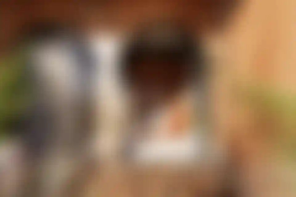 image for main block