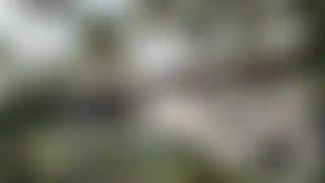 image for main block