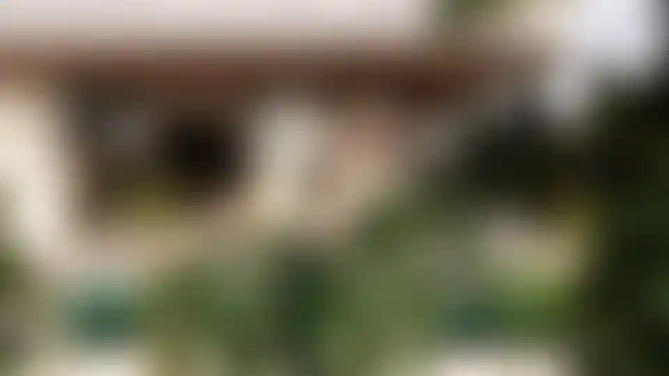 image for main block