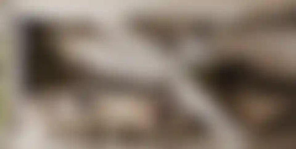 image for main block