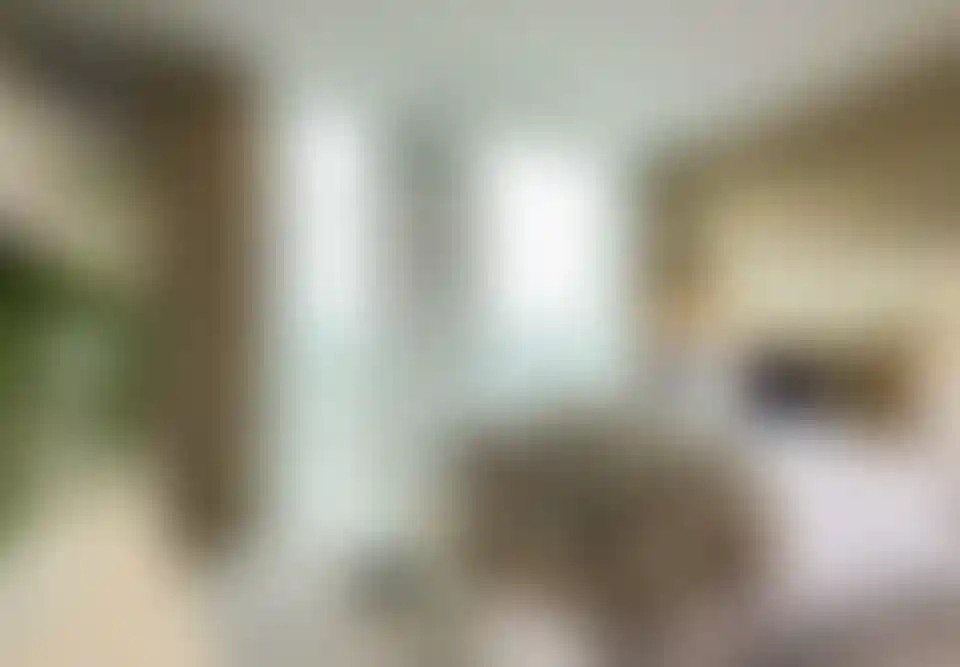 image for main block