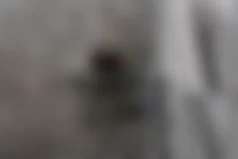 image for main block