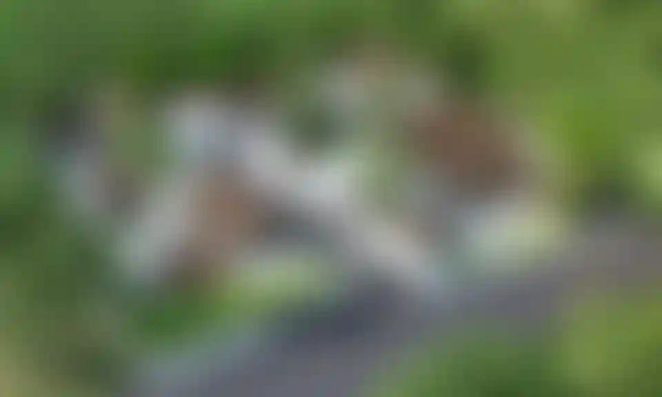 image for main block