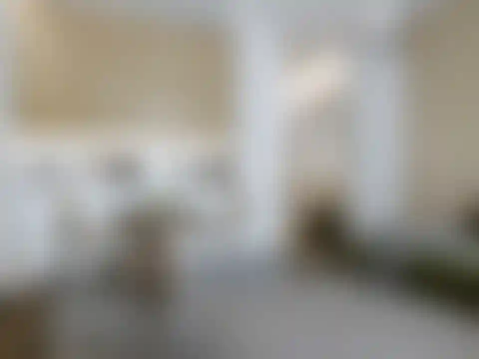 image for main block