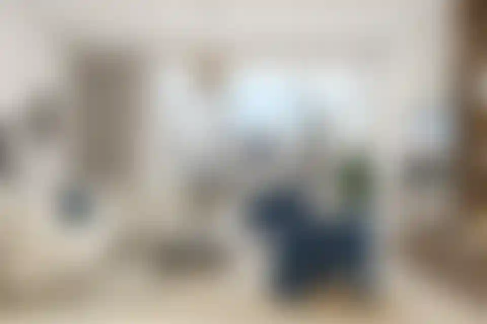 image for main block