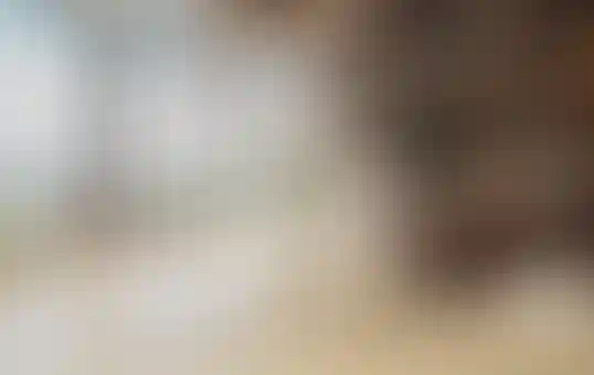 image for main block