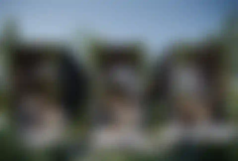 image for main block