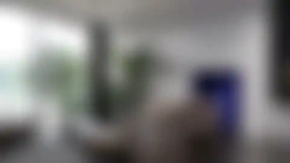 image for main block