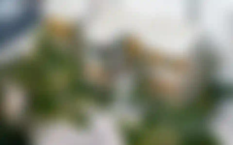 image for main block