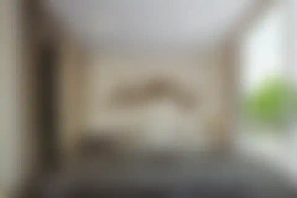 image for main block