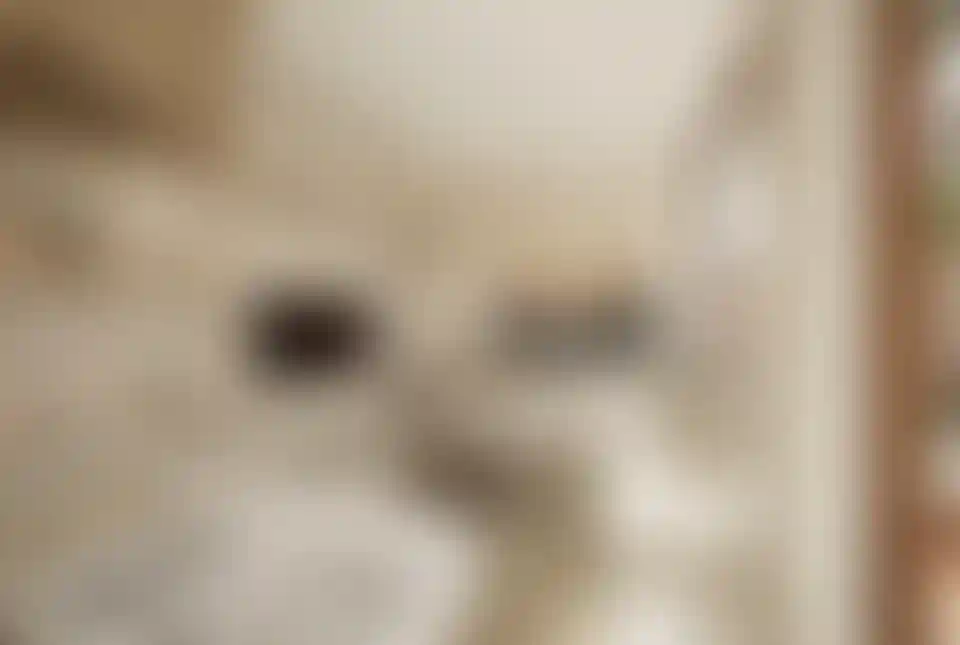 image for main block