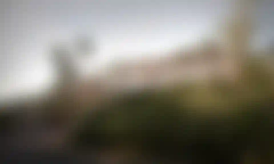 image for main block