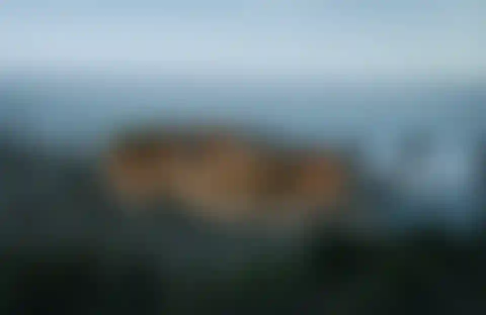 image for main block