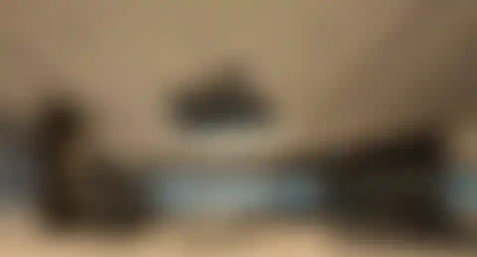 image for main block