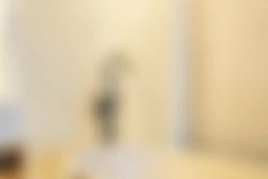 image for main block