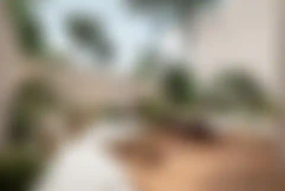 image for main block