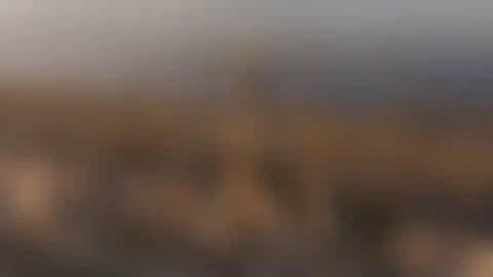 image for main block