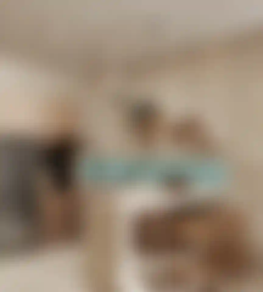 image for main block