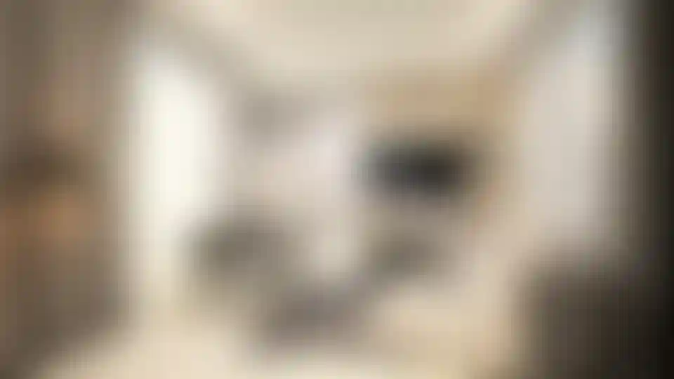 image for main block