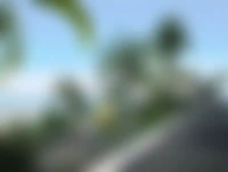 image for main block