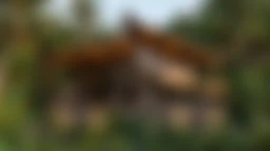 image for main block