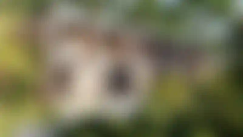 image for main block