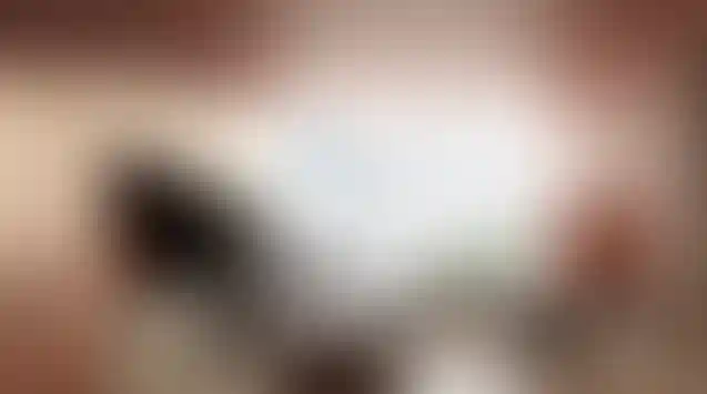 image for main block