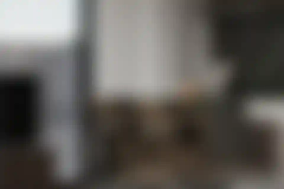 image for main block