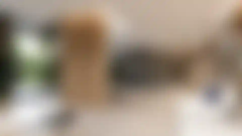 image for main block