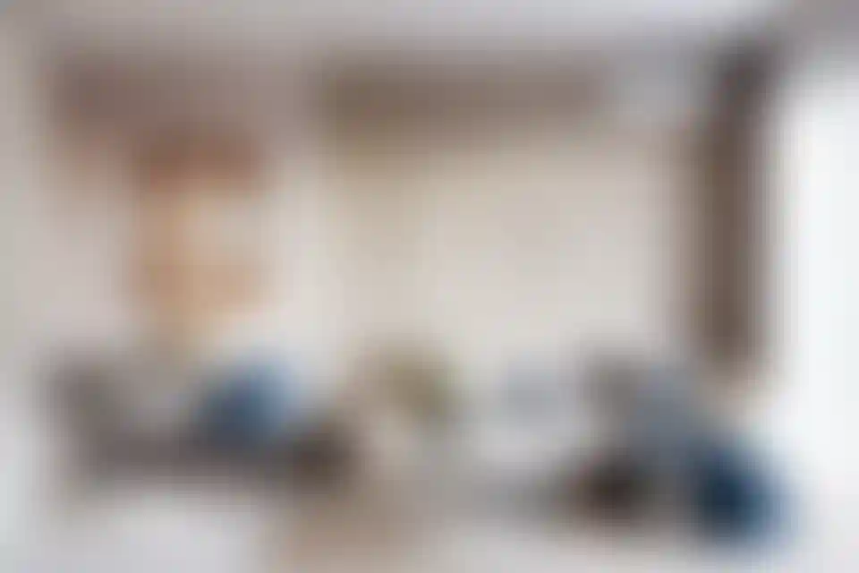 image for main block