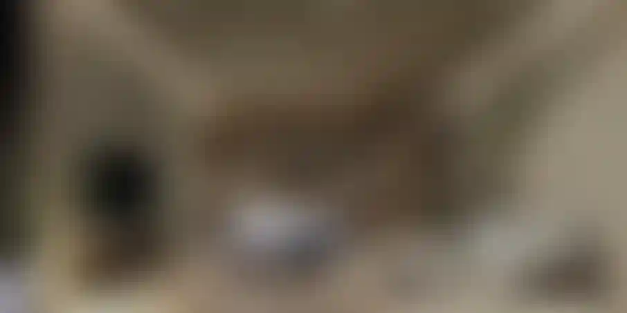 image for main block